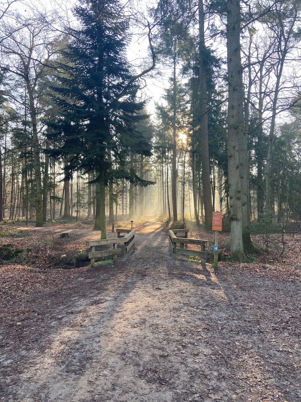 Het Mastbos bij Breda