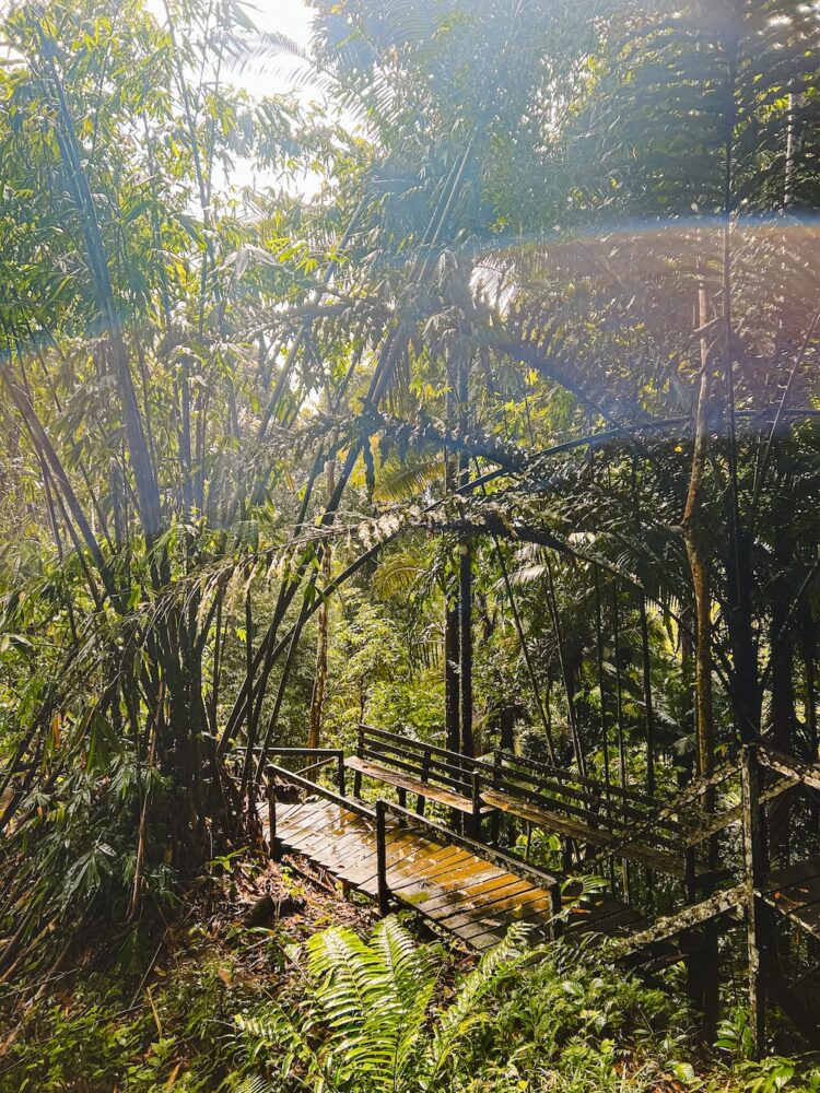 Hike Kuching