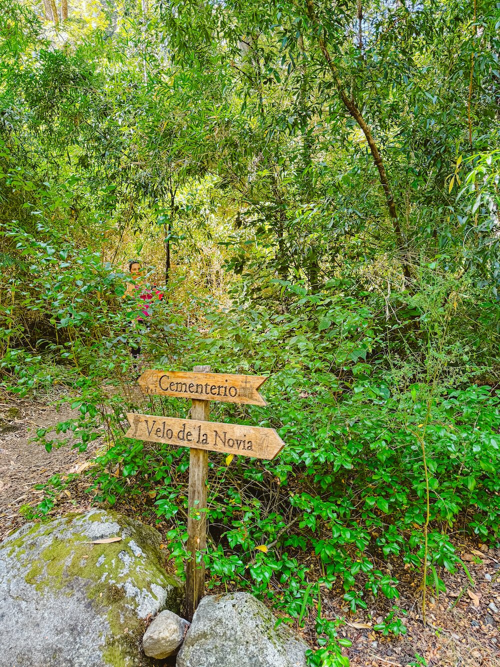 Hike bordjes Vicente Pérez Rosales