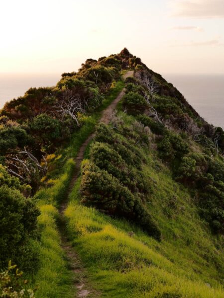 Hikes Nieuw-Zeeland