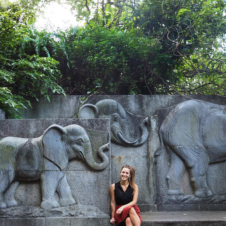 hikes-taiwan-elephant-mountain-taipei