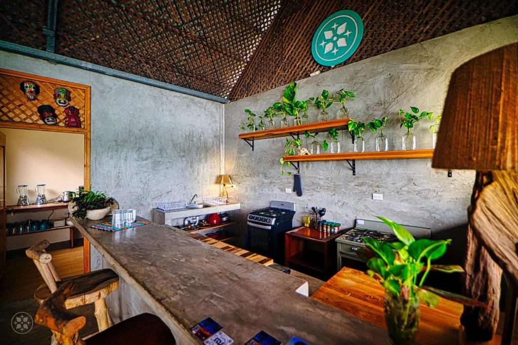 Rustic kitchen bar with a concrete counter, wooden stools, and potted plants on open shelves above a stove.