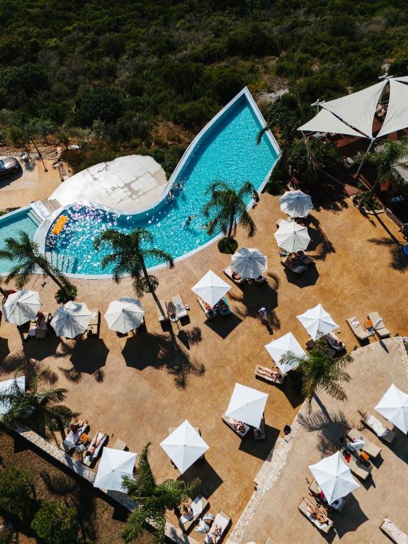 Aerial view of a curved blue swimming pool with white umbrellas and loungers on a tan deck, with palm trees and a hillside in the background for context.