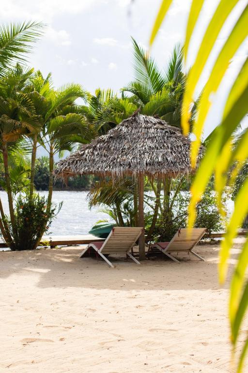 Two lounge chairs under a thatched umbrella on a sandy beach, facing calm water with palm trees and a bright sky.