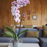 Hotel Minho lobby