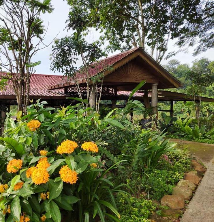 Tropical garden with bright orange marigolds in front of a wooden pavilion with a red-tiled roof.