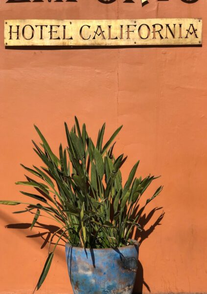 Hotel california todos santos mexico
