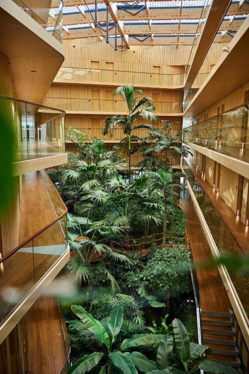 Indoor atrium with lush tropical plants and wooden walls, glass railings along from-above walkways.