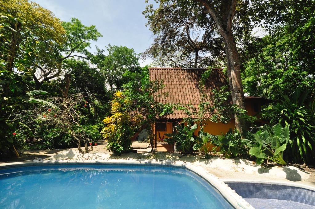 Poolside view with a curved blue pool, a yellow cottage with a tiled roof, and dense tropical foliage on a sunny day.