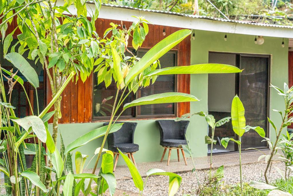 Green house exterior with wooden-framed windows and two black wicker chairs on a gravel patio, surrounded by tropical plants.