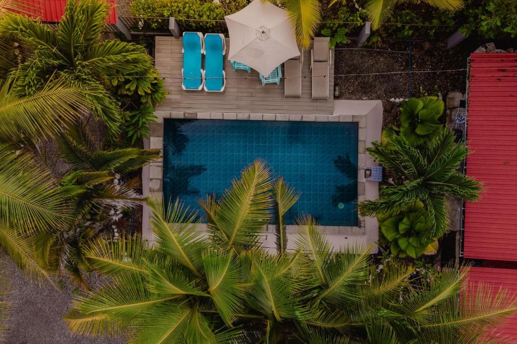 Top-down view of a rectangular blue swimming pool surrounded by palm trees, lounge chairs, and a white parasol on a decked patio.