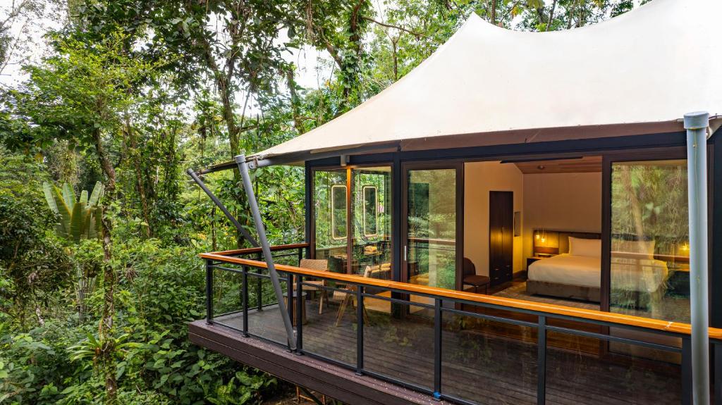 Wooden balcony of a treehouse hotel suite with glass walls overlooking a dense jungle canopy and greenery beyond.