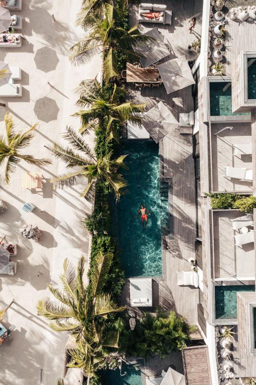 Overhead view of a resort pool area with palm trees, lounge chairs, and a person swimming in a narrow rectangular pool.