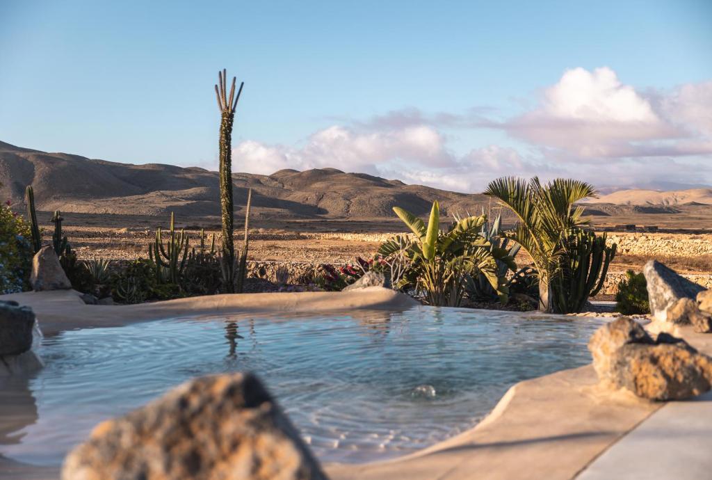 Pool in the foreground with desert plants and cacti beyond, arid hills under a blue sky in the background.