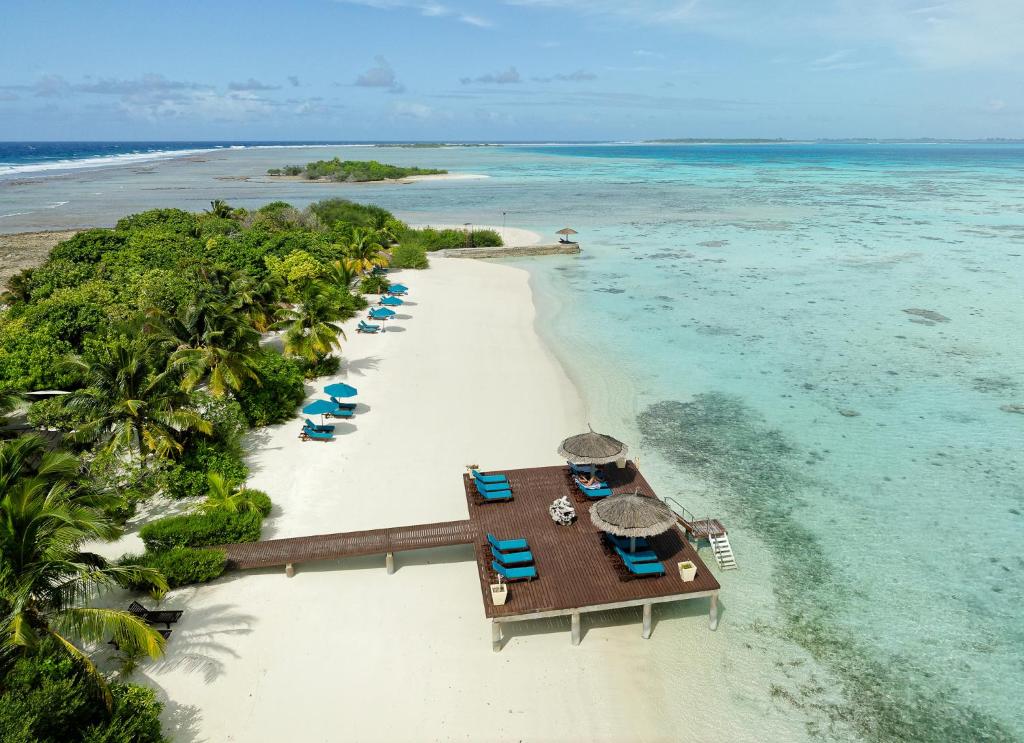 A tropical resort on a white-sand beach with blue lounge chairs under umbrellas, a wooden pier extending into clear turquoise water, and lush green palm trees lining the shore.