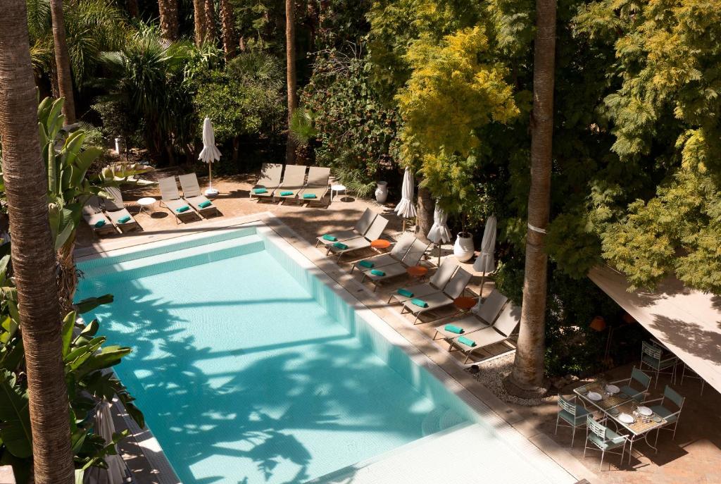 Sunlit hotel pool area with turquoise water, surrounded by lounge chairs and umbrellas under tall palm trees and lush greenery. Outdoor dining tables sit to the right under a shaded canopy.