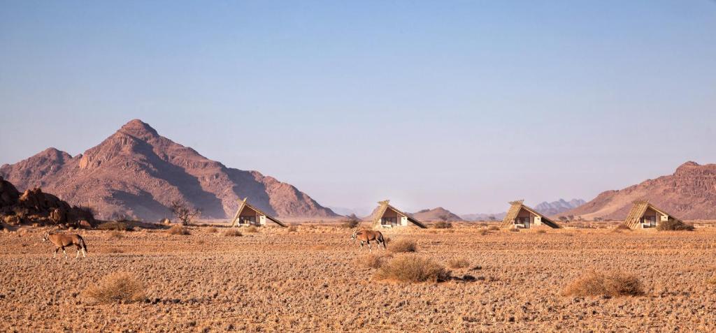 Desert landscape with low shrubs, distant rocky mountains, and several small A-frame huts scattered across the sandy plain. A couple of camels graze in the foreground.