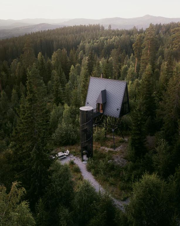 Treehouse-style cabin on stilts in a dense pine forest, with a tall water tank beside it and a gravel path lead­ing to it.