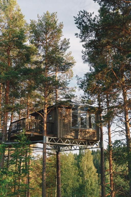 Wooden treehouse perched on stilts among tall pines, with a small balcony. The cabin sits in a lush forest setting.