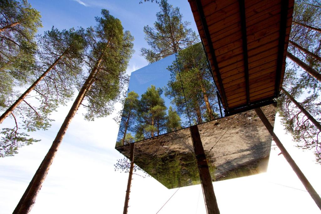 A reflective cube pavilion suspended among tall pine trees, mirroring the surrounding forest and sky above a rocky base.