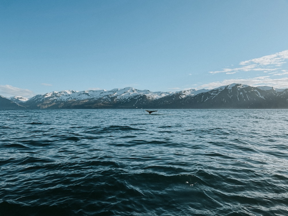 Husavik, Mooiste plekken IJsland