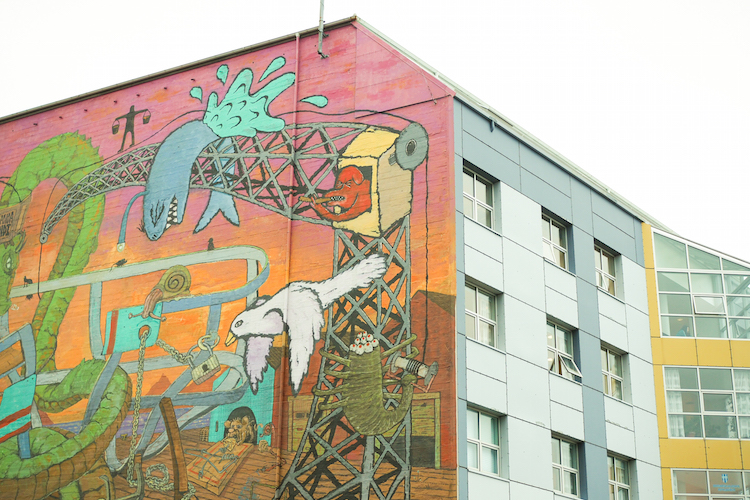 Ijsland reykjavik streetart