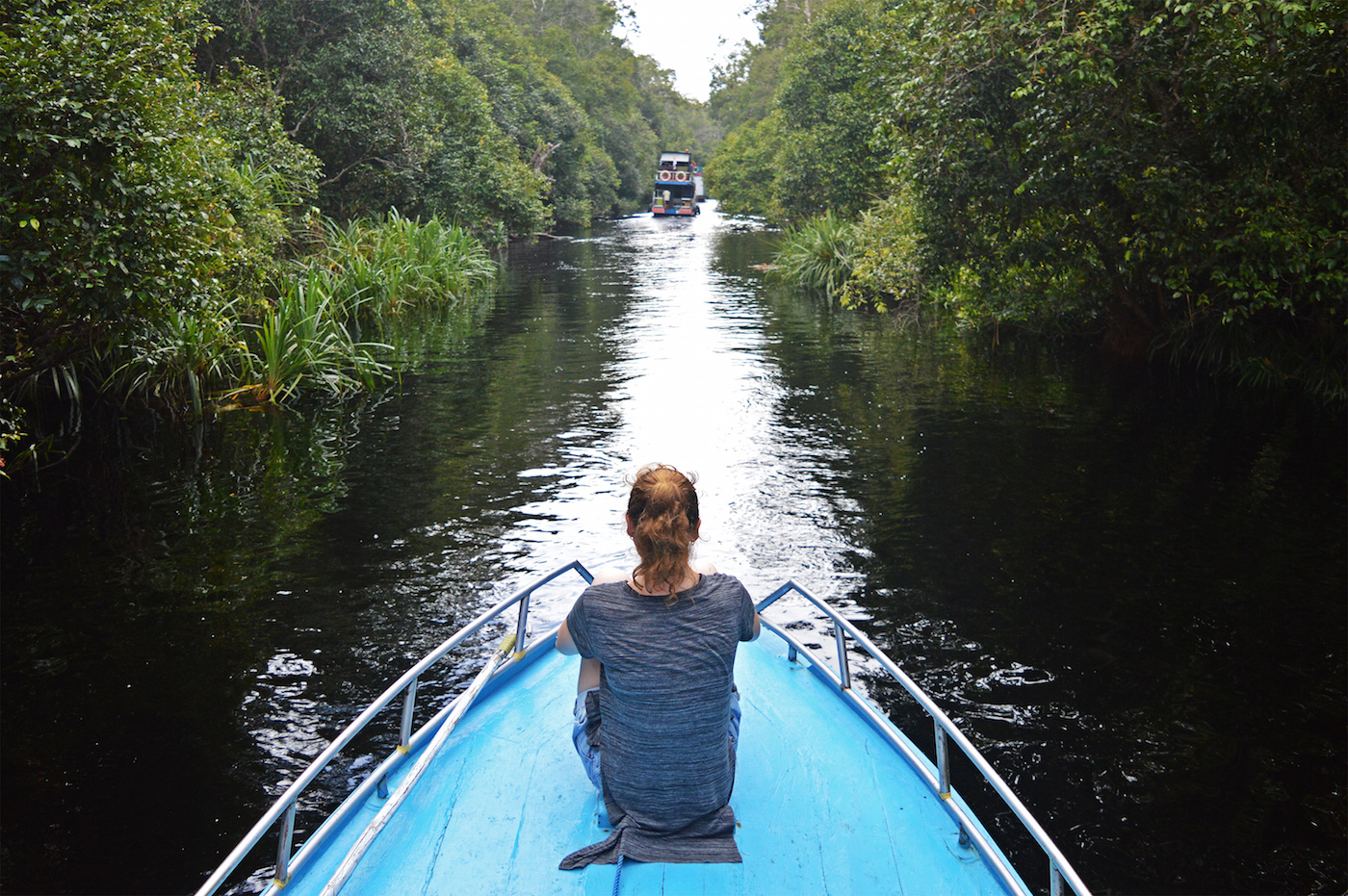 Indonesie Borneo Jungle Klotok