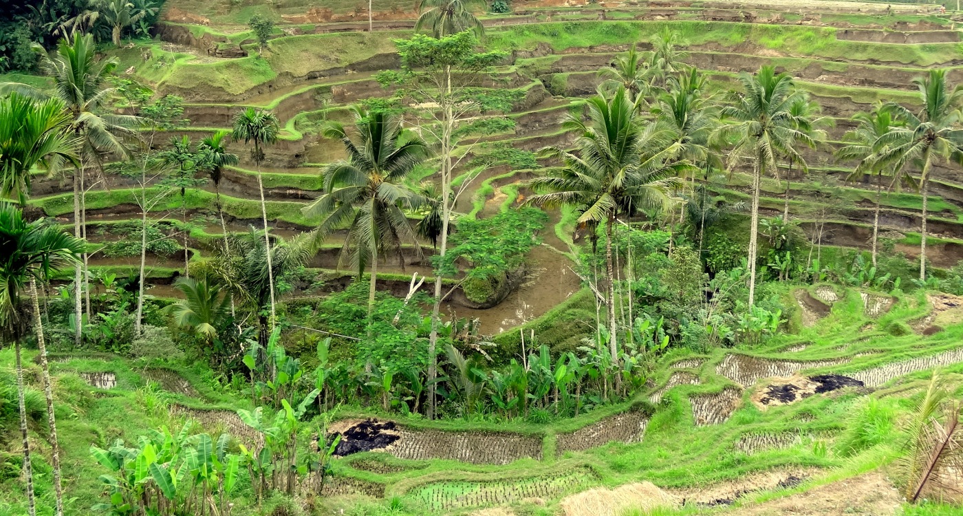 Rondreis Indonesie