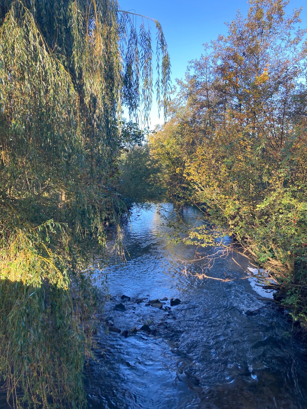 Ingendael wandelen Geuldal