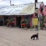 Isla Holbox restaurant Colibri