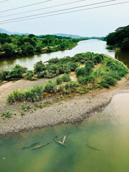 Jaco Crocodile bridge, Costa Rica