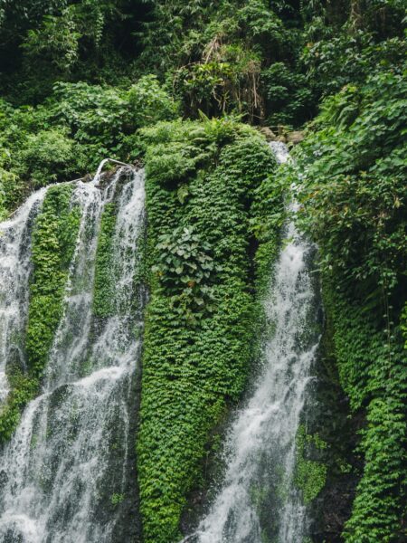Waterfall cascading down a mossy, vine-covered rock face in a dense tropical forest.