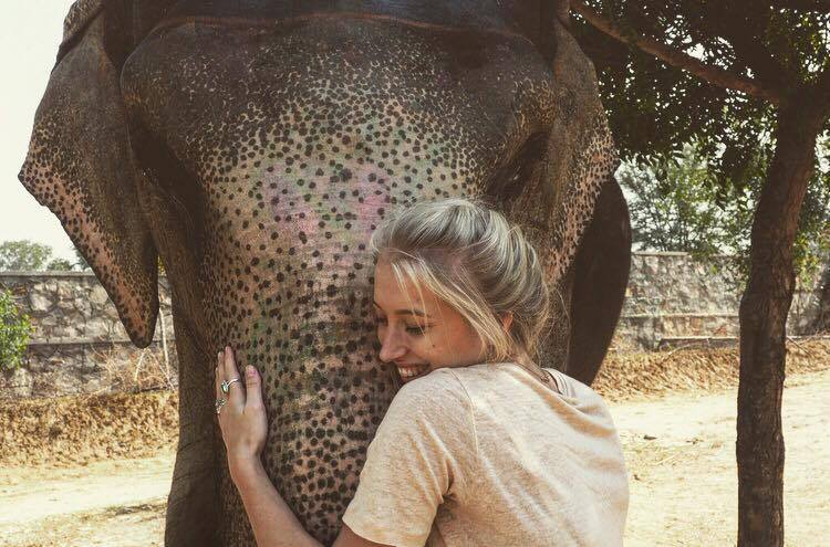Jaipur backpack route india olifanten
