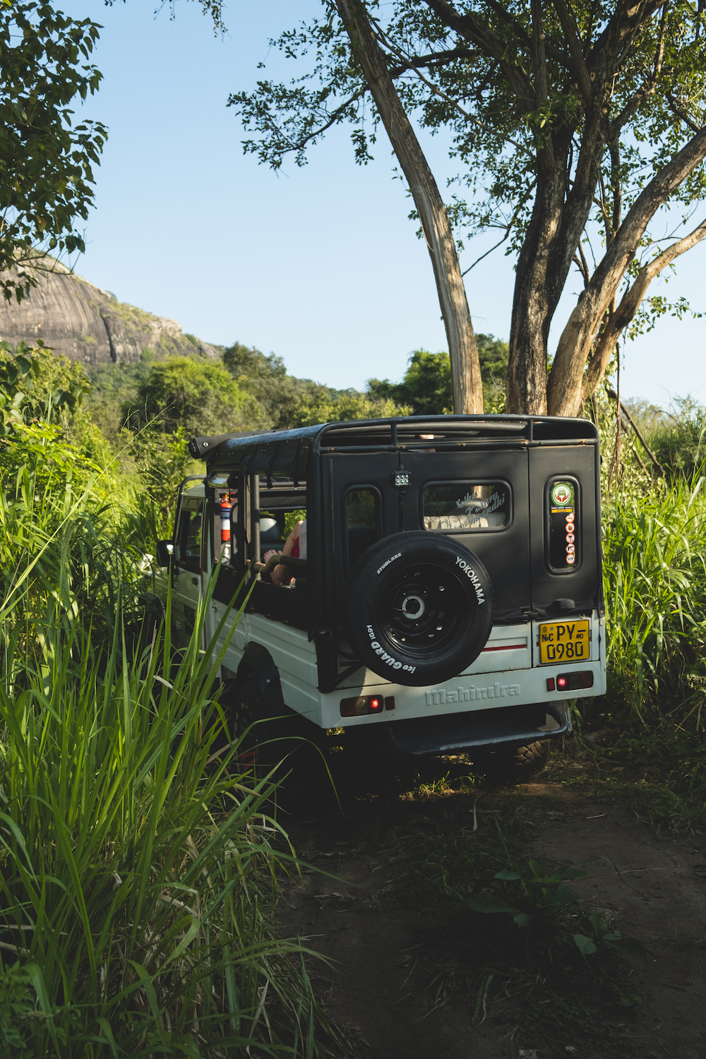 Jeep safari Minneriya National Park
