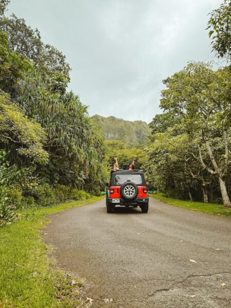 Jeep tour botanical garden