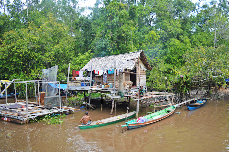 Jungle borneo rivier