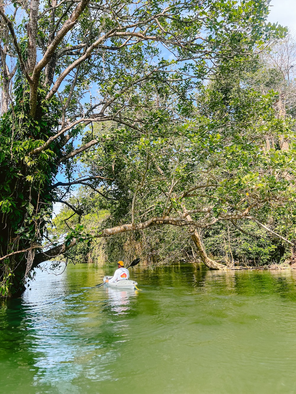 Kajakken, Isla de Ometepe