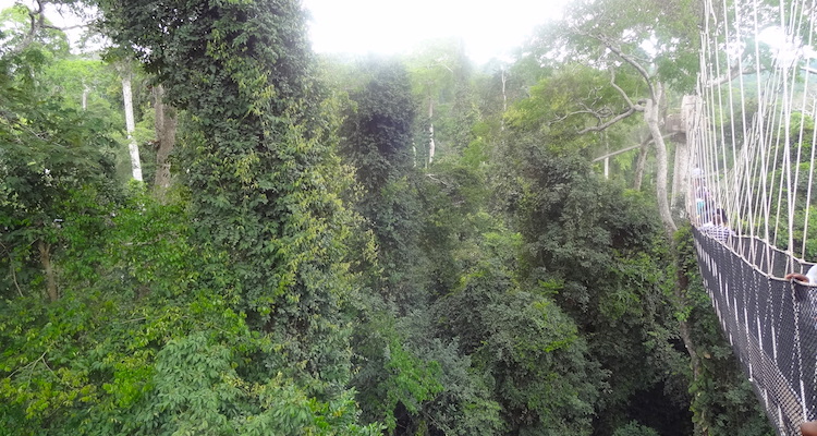 Kakum National Park Ghana rondreis
