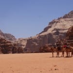 Kamelen wadi rum woestijn
