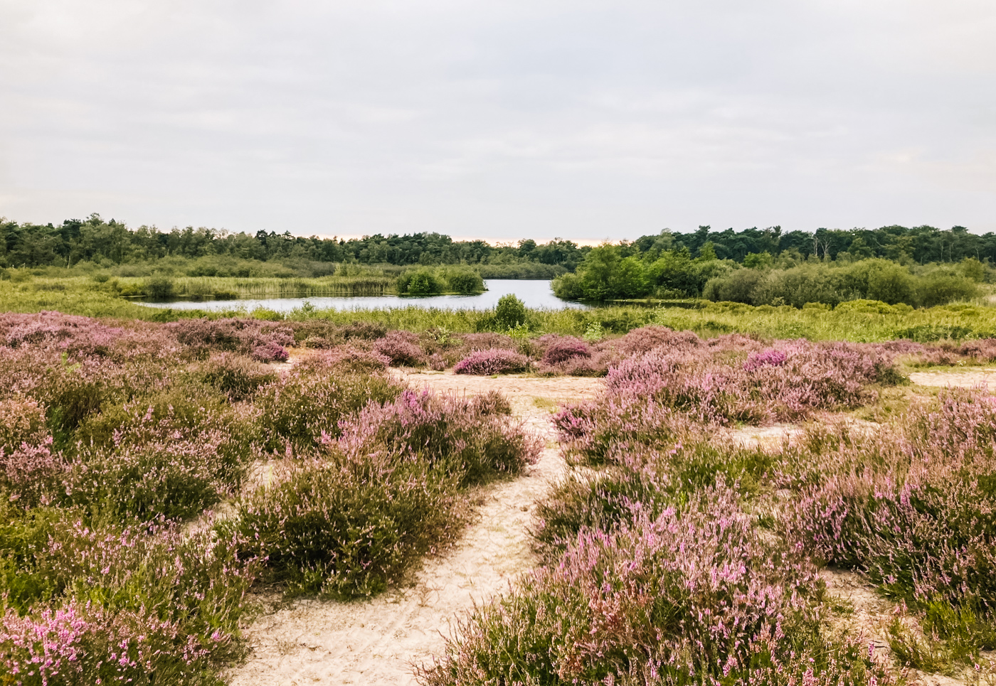 Kampina wandelen