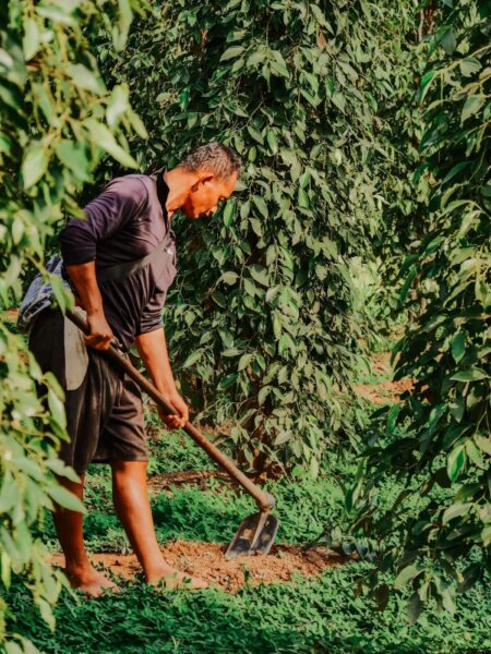 Kampot La Plantation, man op land