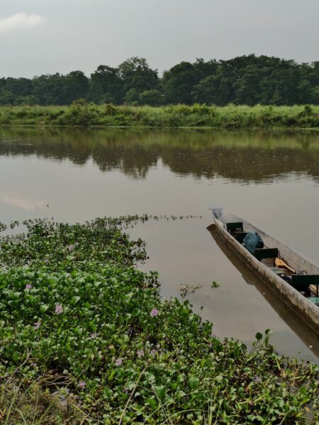 Kano in water, Chitwan National Park