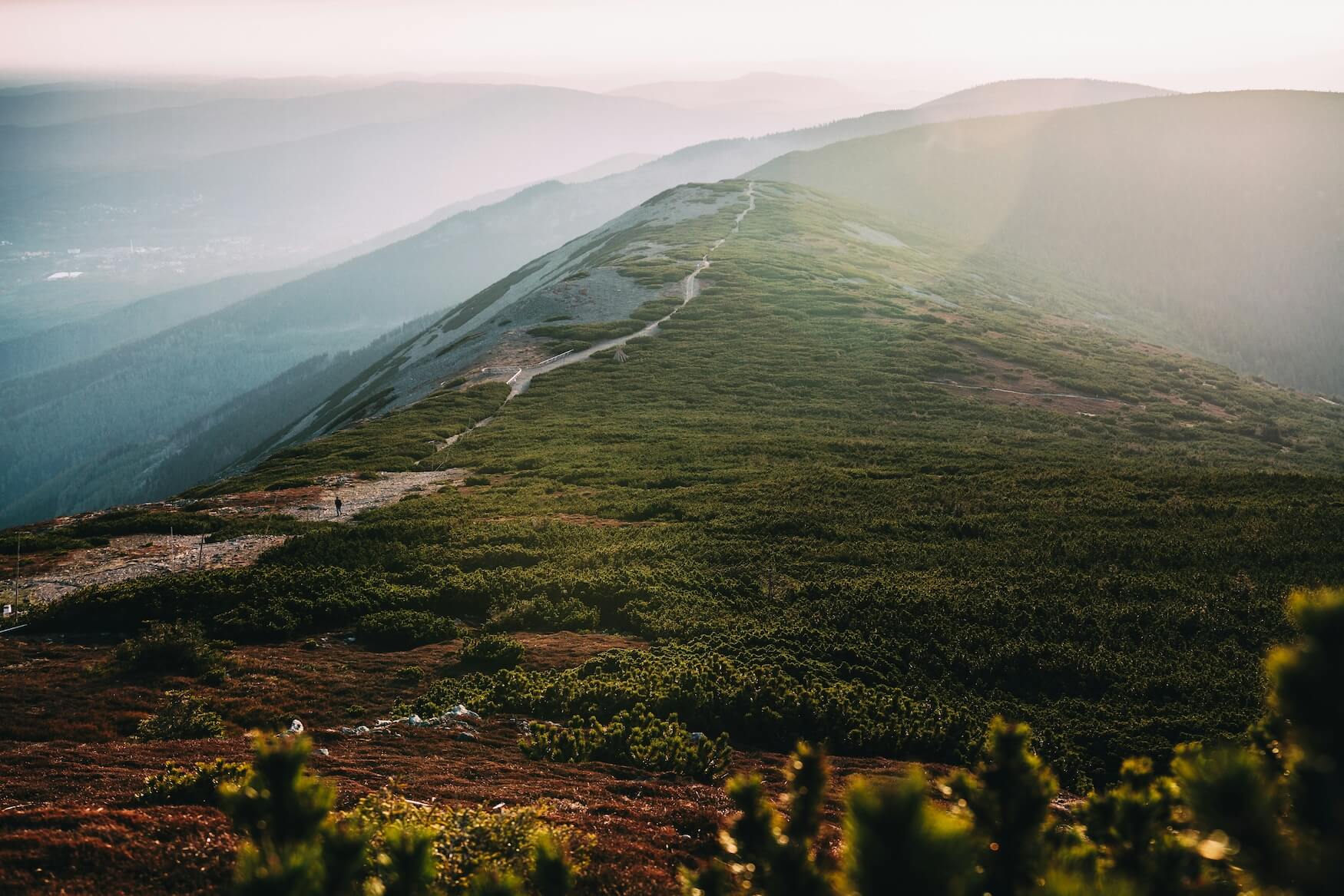 Karkonosze, natuur polen