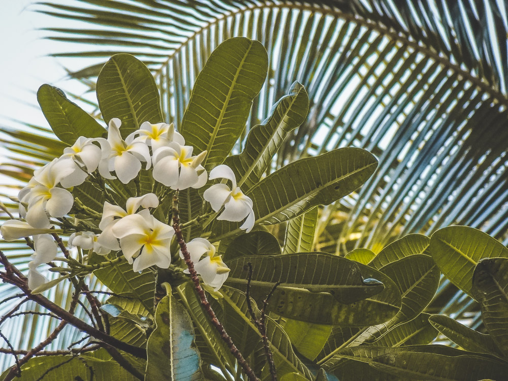 Kauai Hawaii