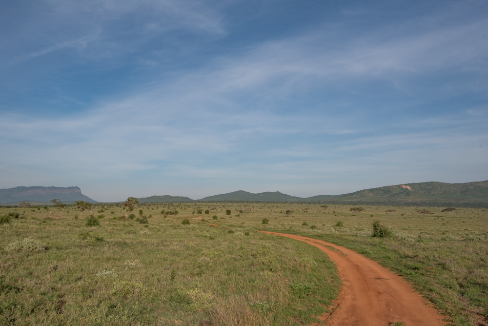Kenia safari Taita Hills