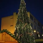 Kerstboom valkenburg