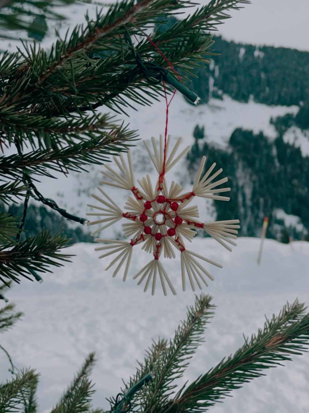 Kitzbuhel ski gebied