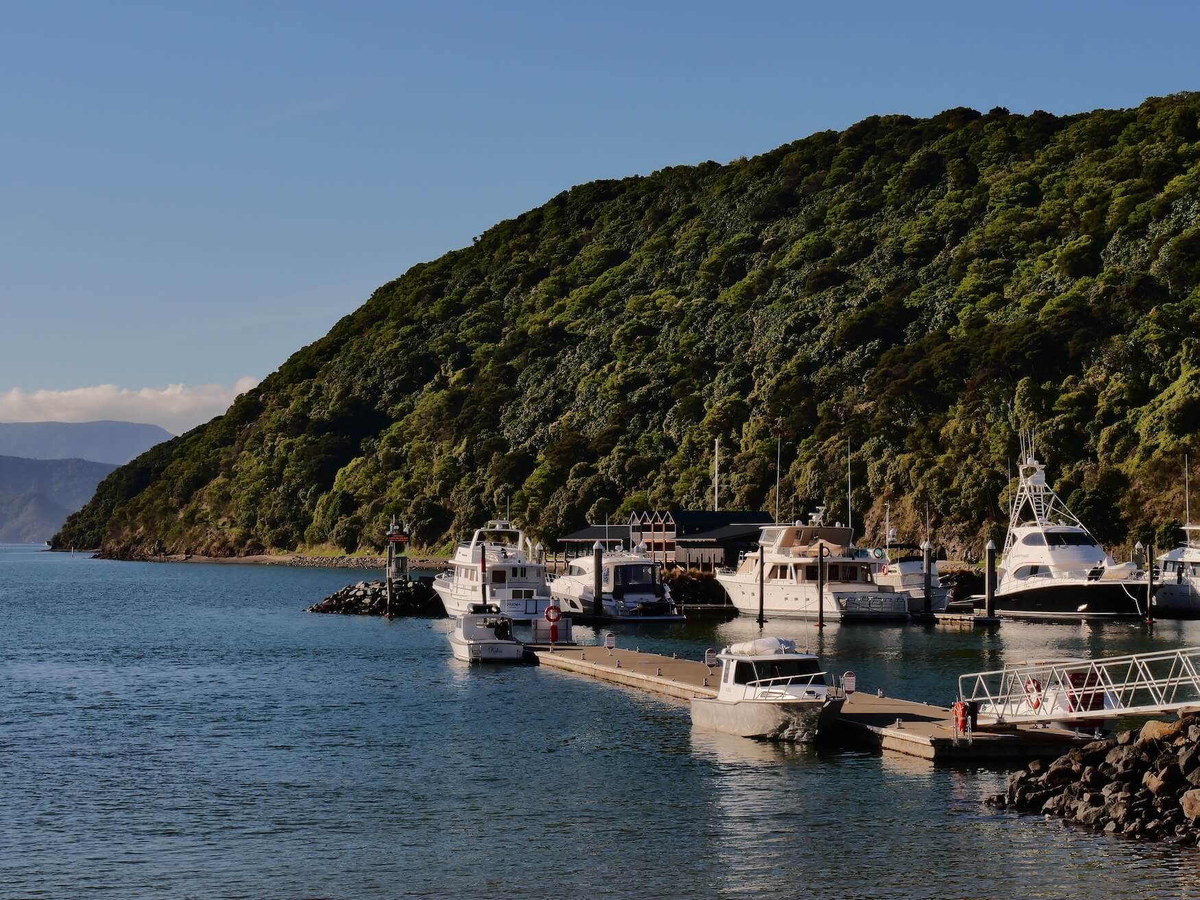 Kleine baai in Marlborough Sound