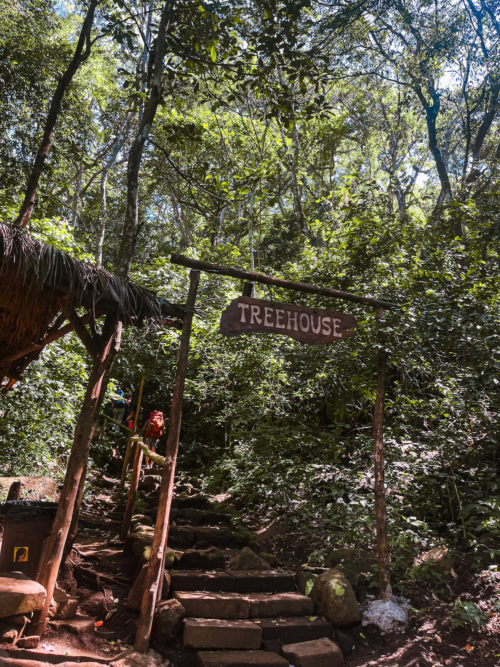 Klim naar boven, Treehouse Nicaragua