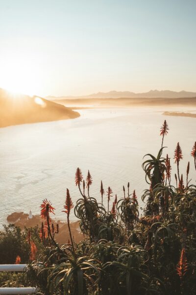 Knysna garden route
